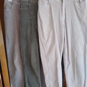 Jones New York Corduroy trousers (3) sage, cream, sand